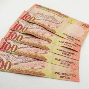 Buy Fake 100 Saudi Arabian Riyals